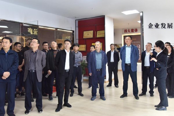 安徽省委组织部非公办赴bc贷集团实地调研党建工作